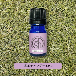 &SH 100%sA A} GbZVIC (  ) ^x_[ 5ml A}IC [    Y VR   RX ϕi Ό ΂  ޗ f A}es[ ]