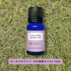 &SH A} GbZVIC (  ) 100%sA [^XzCg Au\[g (5߃ICj10ml A}IC [ [^X zCg @  i` Rh GbZVIC