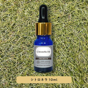 &SH v~A GbZVIC Vgl 10ml X|Cg^[ A}  A100% VR sA A}IC IC Mtg v[g A}Xg[ A}fBt[U[  Zbg 