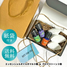 アンドエスエイチ ギフトセット A [ ギフトボックス ギフト プレゼント 女性 おしゃれ 誕生日 アロマセット アロマストーン 癒し グッズ 天然 精油 アロマオイル エッセンシャルオイル アロマ 贈り物 ギフトラッピング クリスマス 記念日 ] +lt3+