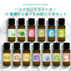 Iׂ t[EH[^[ 20ml 5{Zbg / A Y F nCh\ WX~ EH[^[ [Y l o [}J~[ J~[  ϐ A} n