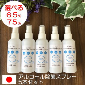 楽天市場 消毒 アルコール アンドエスエイチの通販