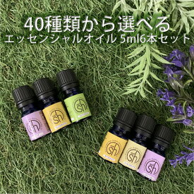 &SH 【AEAJ表示基準適合認定精油】 アロマ スターター セット 5 エッセンシャルオイル 5ml×6本 セット アンドエスエイチ [ お試し アロマ おしゃれ 無添加 天然 香り 手作り コスメ 化粧品 アロマセット 精油 アロマオイル 5ml ] tg_smc 【 定形外 送料無料 】