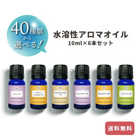 【選べる40種類 10ml 6本セット】水溶性 アロマ エッセンシャル オイル &sh アンドエスエイチ [ 加湿器 風呂 水で溶ける アロマオイル エッセンシャルオイル セット 原料 香油 オレンジ ローズ サウナ ロウリュ ロウリュー テント ] 【 定形外 送料無料 】tg_smc +lt3+