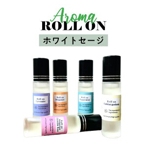 &SH Ax[X A} [I{g 10ml zCgZ[W [I mAR[ [ Y fB[X tOX  I[hg GbZVIC }bT[W[[] +lt