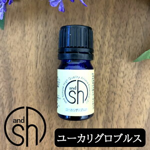 アロマオイル ユーカリグロブルスの人気商品 通販 価格比較 価格 Com アロマオイル ユーカリグロブルスの人気商品 通販 価格比較 価格 Com