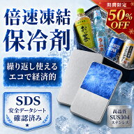 【半額クーポン利用で1580円 ポイント最大10倍 大きいサイズ】 保冷剤 ステンレス 17.5*11.5cm 長時間 保…