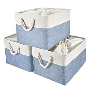 yzSTVICTORY [oXPbg [ 3Zbg 40×30×24cm L В t IVȎ[{bNX h[oXPbg Xg[WoXPbg z 󂩂 CeAG 