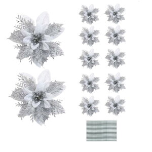 |CZ`A  NX}X  12Zbg LL  NX}Xc[ I[ig  NX}X[X X   VN  a ʐ^Be Ԍst (Vo[)