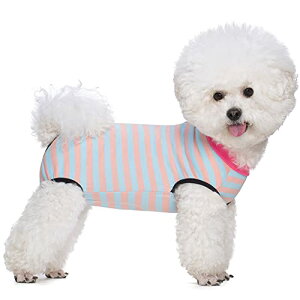 KUVEELA PET pp㕞 ^ p㕞 pEFA pJo[ ی앞 GUxXJ[ɑ IX Xp D  یiu[XgCvASj