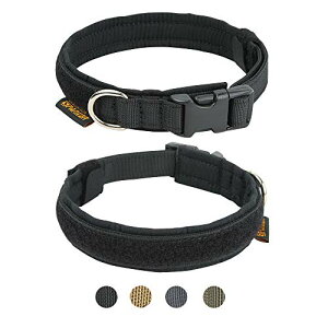 yzEXCELLENT ELITE SPANKER    ^ iC ^   \  Pp U    ^ ybgpi