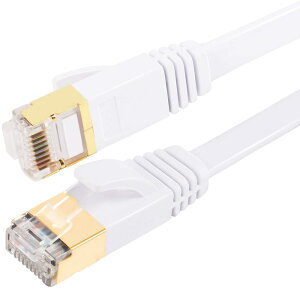 FOSTO Cat8 LANP[u 1M  40Gbps/2000MHz JeS[8  C[TlbgP[u  LP[u C^[lbg tbgP[u V[h RJ45 RlN^ MKrbgܐ܂h~ 