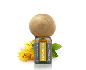 Cywinfow ؍Ґ A}IC 100VRAR ؍҃GbZVIC 10ml (fBt[U[Zbg)