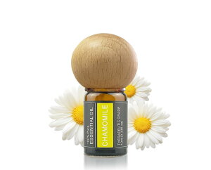 Cywinfow J~[ A}IC 100VRAR J~[GbZVIC 10ml (fBt[U[Zbg)