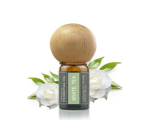 Cywinfow zCgeB[ A}IC 100VRAR zCgeB[GbZVIC 10ml (fBt[U[Zbg)