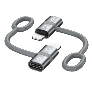 RAVIAD Type C to CgjO ϊA_v^ (2Zbg) [dpUSB-C i-PhoneϊRlN^ A~O VRoh݌v ^CvCiOSϊRlN^ iOS USB CA_v^iPhone 14 13 12 11 Pro Max, Pad Pro