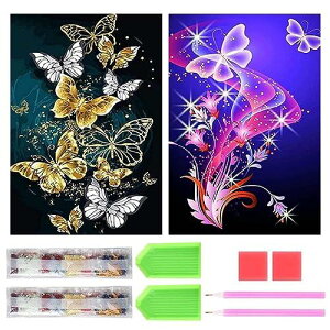 TRX _ChA[g Lbg _Ch̊G 2Zbg ꂢ Sʓ\t _ChA[g 5D S l̎q DIY |Lbg Ƃ̕ǂ̑ ()