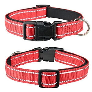 yzTHAIN    ̎  ^A^A^p  q   y ybgpi ˍޗ iC ʋC e͐ _炩 ߉\ (M, )