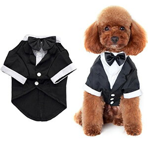 yzANSIMITE lN^C߂L[g  L  ^LV[h  { ^ ^ ^ TCY낢날܂ ubN (L, ubN)