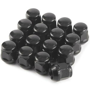 GAsupply ���O�i�b�g M12 x P1.25 �z�C�[���i�b�g �e�[�p�[��60° ����25mm 19HEX �j�b�T���E�X�o���E�X�Y�L�ɑΉ� �X�`�[���� 16�Z�b�g �u���b�N