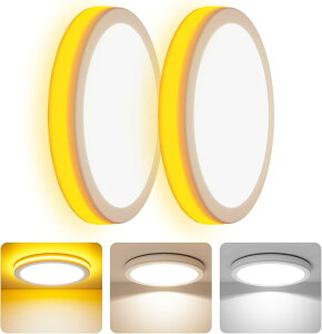 Coizabera LEDV[OCg 6~8 2Zb Ԑڌ铔t 32W 3800lm F ɔ^  VƖ dC u Ceiling Light 6 8 Q/rO/Lb`KpiNo alexaj