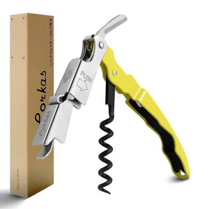 CORKAS CI[vi[ \Gi Ct 𔲂 RN   a v[g (XeX|)iYellowj