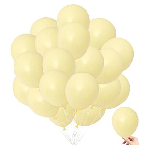 yzBTZO D o[ 50 5C` Eh }JJ[  ~j X[ o[A[g t a  p[eB[ Ղ j  Cxg CG[