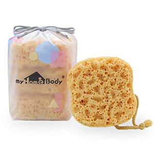 yzmyHomeBodyoX[pv~AX|WAw`}X|WAV[p{fBX|W ? 傫߃TCYALɖAAۂ݂ттX|WA3pbN - XNGA