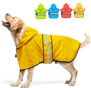 Candofly pCR[g t[ht - ߉\ȔˌpCWPbg yʌpCR[g ybgXbJ[ t[ht|` pCR[g ^E^E^p Sold by Clan