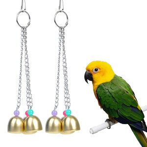 ybg  p x CR  ݂艺 2 23cm 낢 S[h  V o[hgC IE  ZLZCCR  p  r[Y̐F_