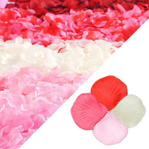  Ԃт 2000 t[V[  KN  v |[Y   EGfBO 2 a j oɃ[Y p[eB[ NX}X Be p[eB[p