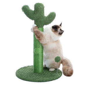 PAWZ Road L ܌ c^ ܂Ƃ|[ T{e ^L R Lbg^[  L^[ ˂̂ ȃXy[X ^s L̗Vя - 65cm O[