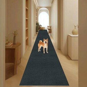 L~ L J[ybg VOTUDX 300*60cm h~߃}bg 􂦂 Ki}bg4mmz}bg Sy g[Ή ΍ ]|h~  }bgO}bg [}bg 