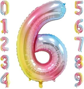 HIYEAR a t  o[ 傫 40C` 90cm F A~DLO j nbs[o[Xf[ (6,F)