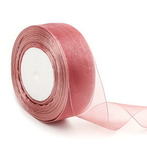 DRERIO bsO {  | NX}X{  v[g/DIY/ԑ/Mtgpi p[eB[̑ (ȂߐF)