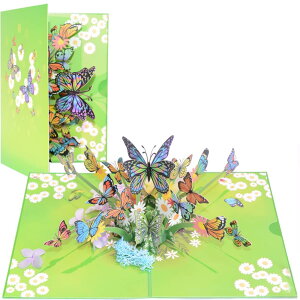 DAO XIANG o[Xf[J[h aJ[h |bvAbvJ[h bZ[WJ[h O[eBOJ[h ̃J[h NX}XJ[h o^C MtgJ[ h o[Xf[J[h l 