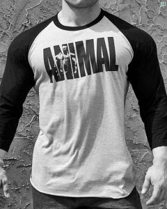 Y@R[f@g[jO tBbglX  Yt@bV  X AJ ؓ ʋC g[jO 傫TCY jO X|[c TVc gbv