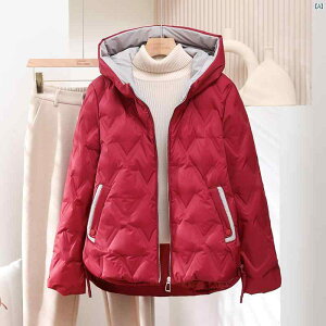 H@~ _E WPbg fB[X g V[g  zCg_bN_E   t[ht 傫TCY R[g