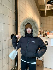  t@ `F _E WPbg ~ V[g 90 zCg_bN_E t[ht EGXg  TCY 傫 є  R[g