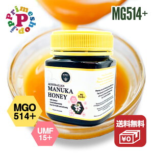 マヌカハニー UMF10 MG263 ハニーオーストラリア Honey Australia オーストラリア産 非加熱 オーガニック 蜂蜜【賞味期限2025年11月17日】