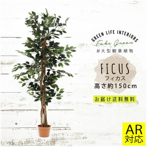 y_dzlHϗtA ^ tFCNO[ CeA  tBJX 150cm