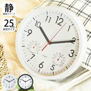 P5{N[|~9/24 2܂Ły_az|v xvt A[o a 25cm XC[vj Abj ubN zCg