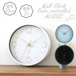 _SiP5{11/4 20~11/11 2^y_azdgv dg Ǌ| |v AIX a25cm