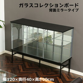 【送料無料_d】ガラス コレクションケース コレクションボード ブラック TMG-G170 BK