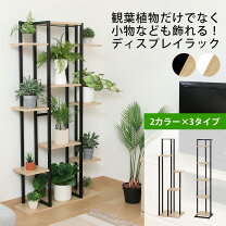 楽天市場】観葉植物 4段 棚の通販