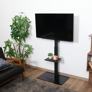 y_bzerX^h Ǌ nC^Cv   It KX 32^`55^Ή 146cm ubN zCg