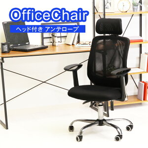 _SiP5{11/4 20~11/11 2^y_bzItBX`FA bV wbht Ae[v ʍ47`56cm ω׏d80kg wbh~ wꏸ~ bLO@\ LX^[t u