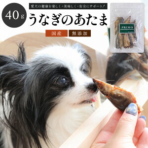 Y Ȃ̂ 40g ŷẑ EiM V   Y Y ybg ybgpi ^  c   ⏕H  J Ic  DHA EPA J[ JV