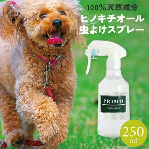 qmL`I[Xv[ypz250ml p qmL`I[ 悯Xv[ 250ml VRo U AM[