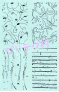 y[֑zX^v@wi@nhCh@J[h@h